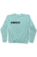Load image into Gallery viewer, AMOCI Pigment Dyed Crew Neck